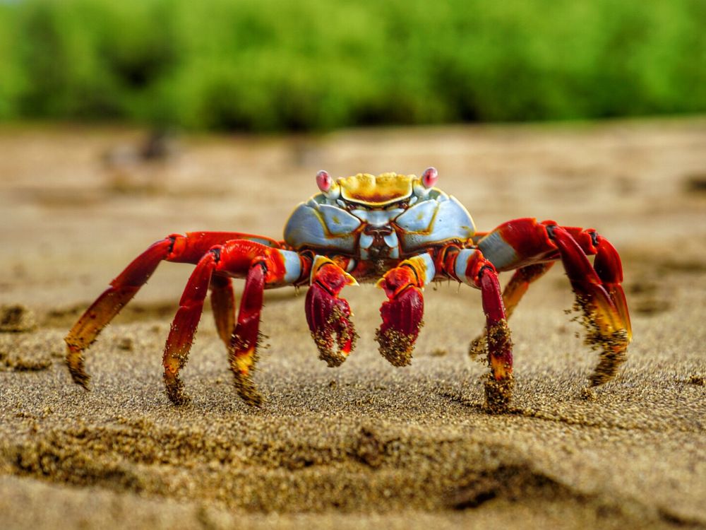 Photograph by Tatyana