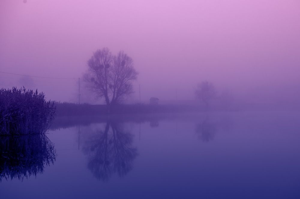 Photograph by Анна Пикаленко