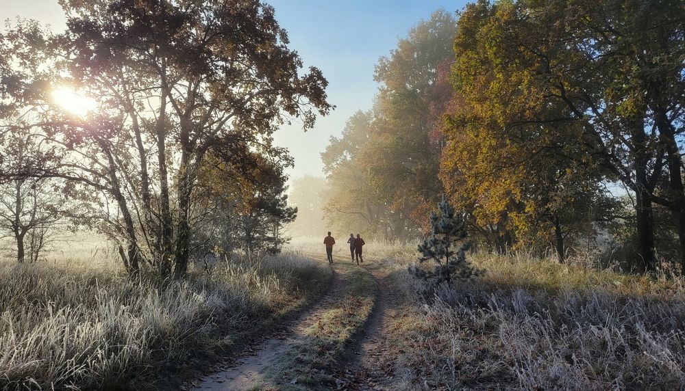 Photograph by Сергей Шляга