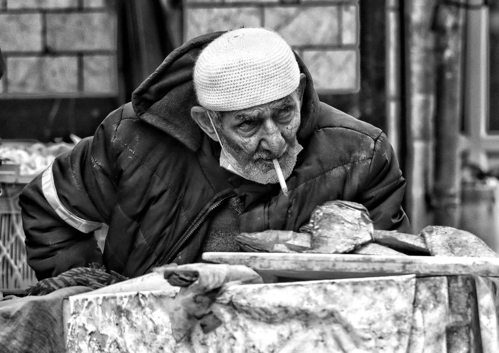 Photograph by Arsalan mohamadniya