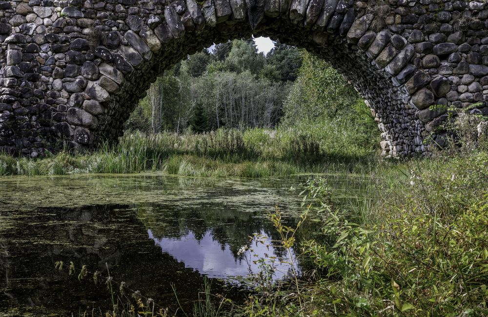 Photograph by Галина Павлова