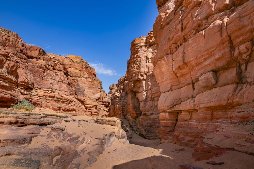 Photograph by Евгений Бубнов