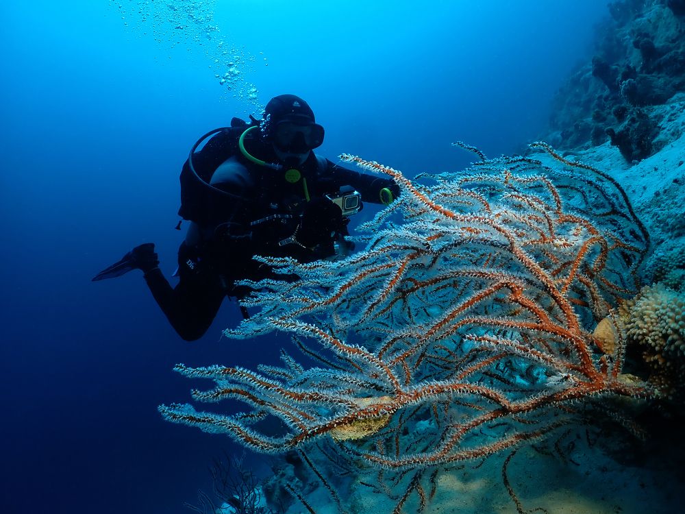 Фотография автора Дмитрий Челноков
