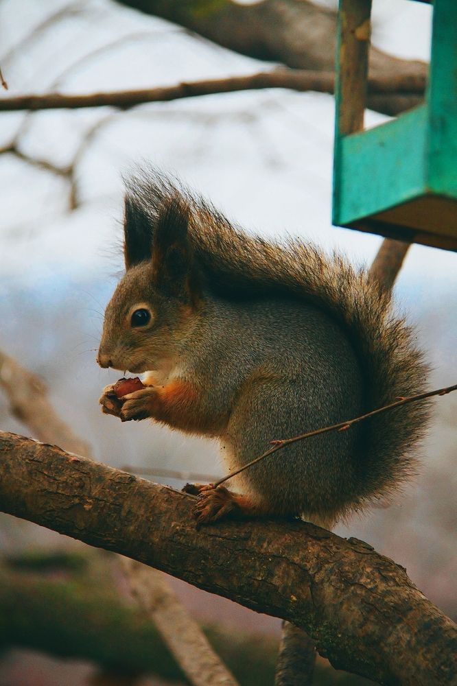 Photograph by Дарья Овчинникова