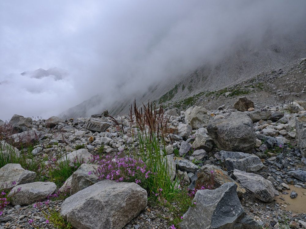 Photograph by Ирина