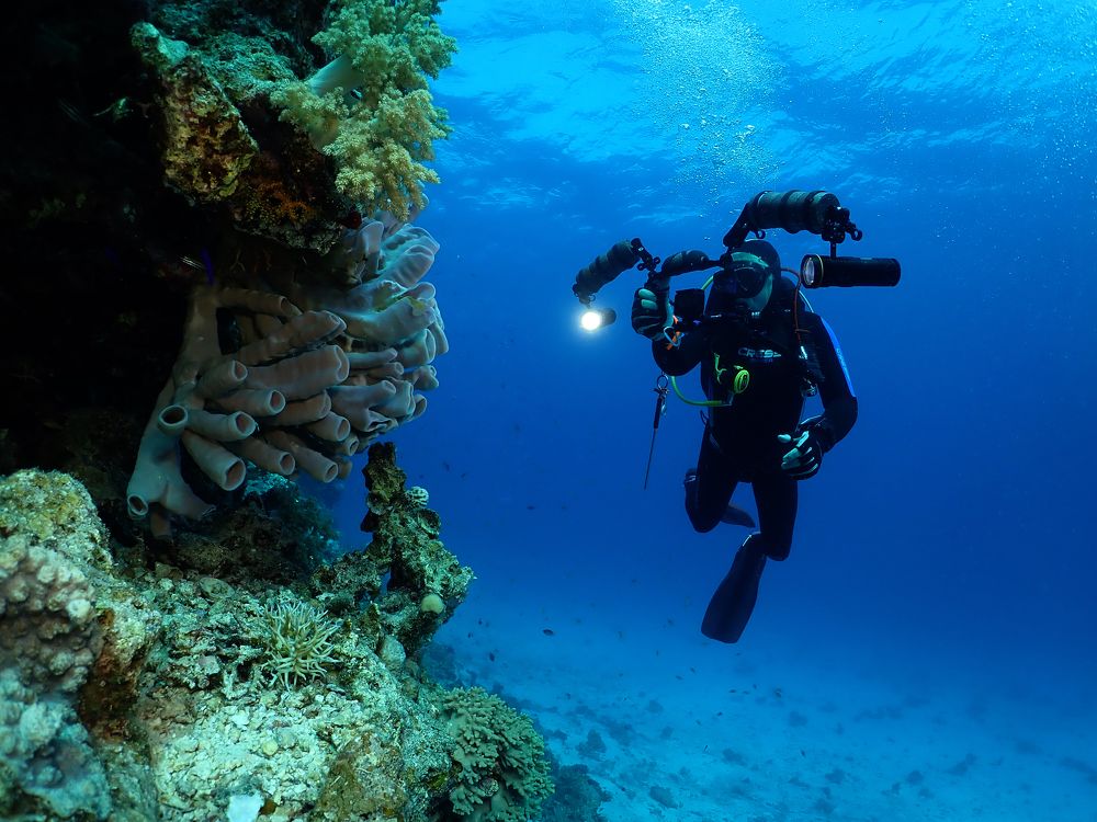 Photograph by Дмитрий Челноков