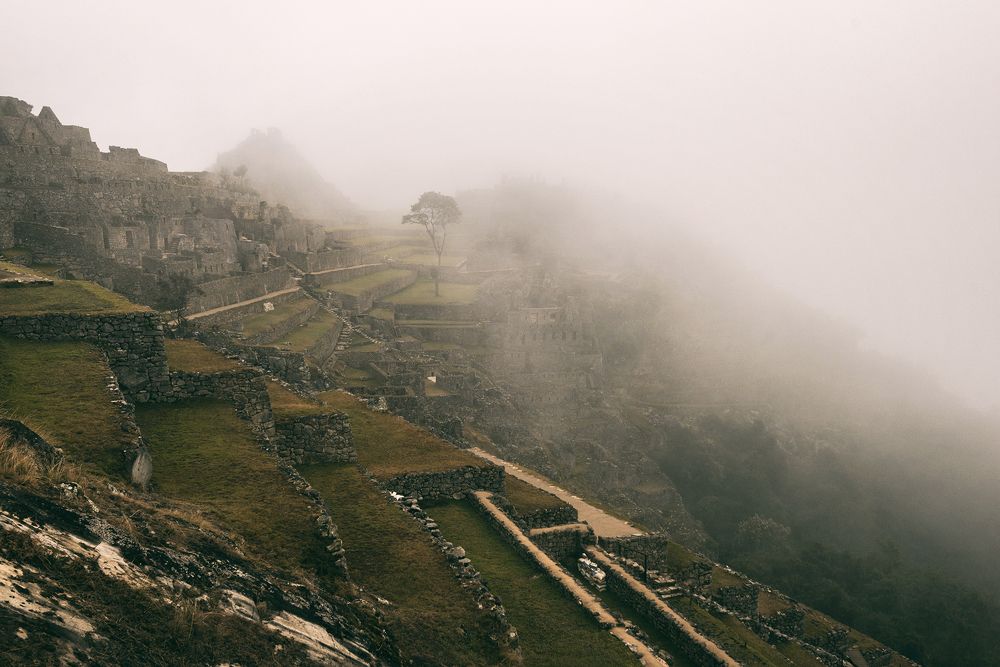 Фотография автора Csépe Róbert