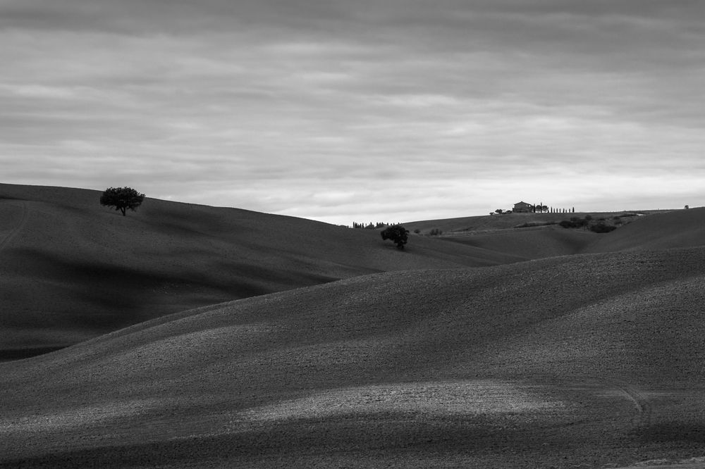 Photograph by Евгения Чех