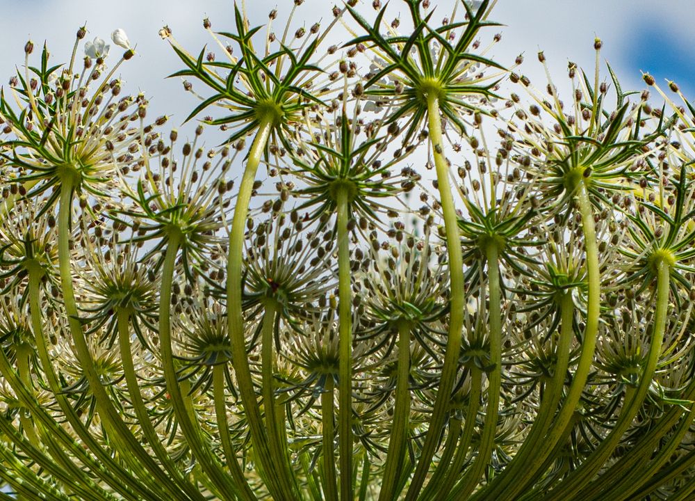 Photograph by Tatyana Klimenko