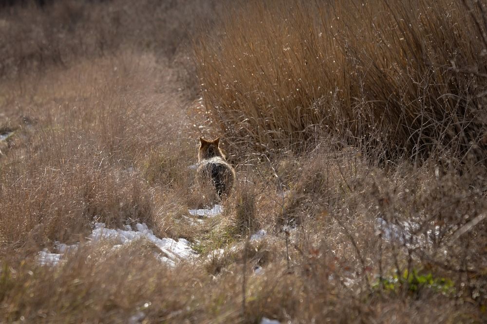 Photograph by Dejan Sajkovski