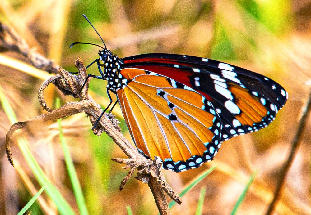 Photograph by Tatyana Klimenko