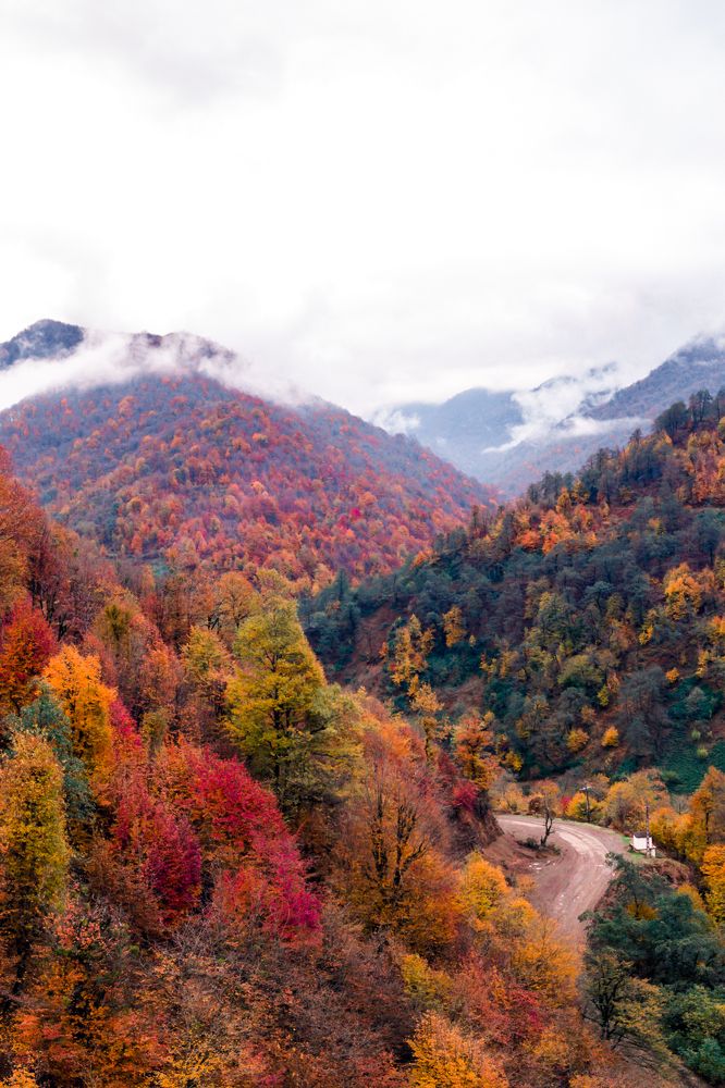 Photograph by Seyad Sajad Mirrahimi Daryasari