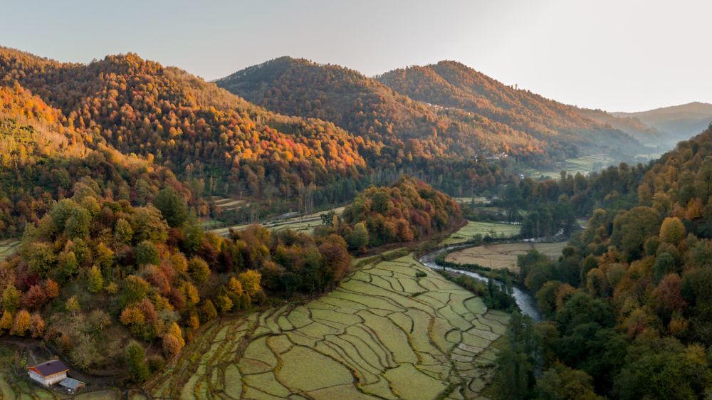 Photograph by Seyad Sajad Mirrahimi Daryasari