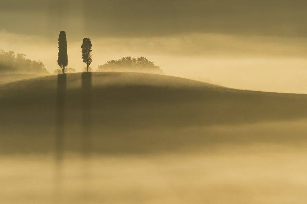 Photograph by Pamela Doretti