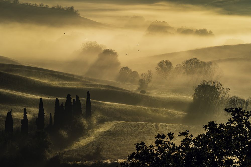 Photograph by Pamela Doretti