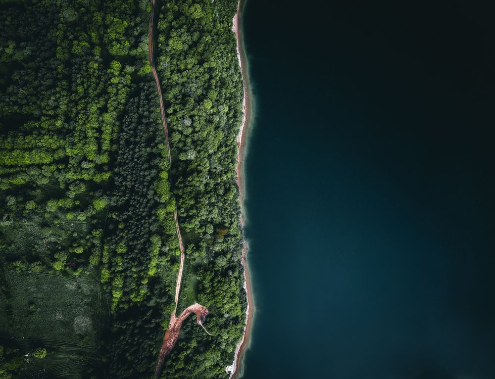 Фотография автора Константин Муравьев