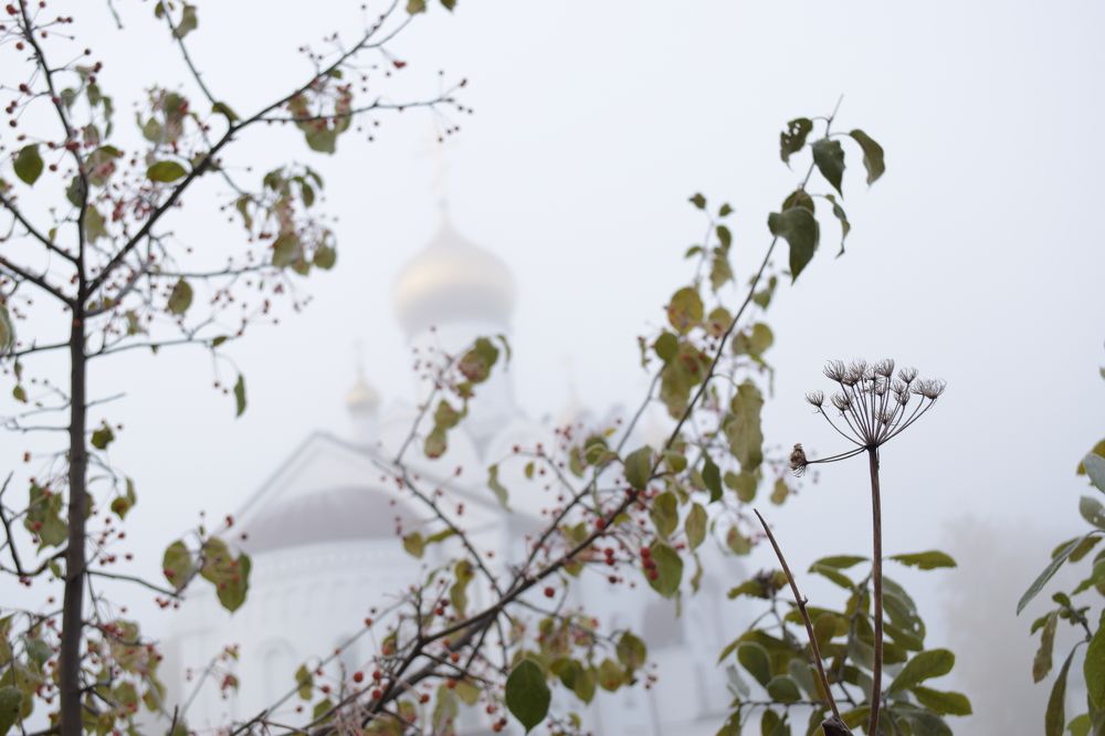 Photograph by Ольга Каминская