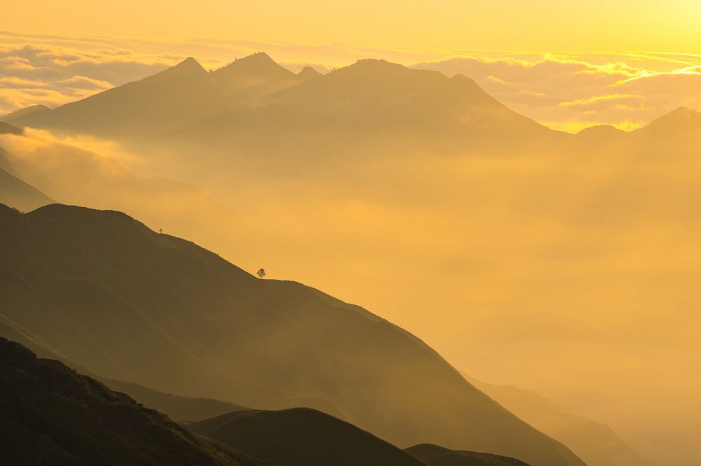 Photograph by son dam minh