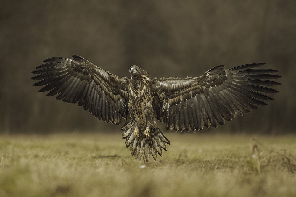 Photograph by Ernestas Balcikonis