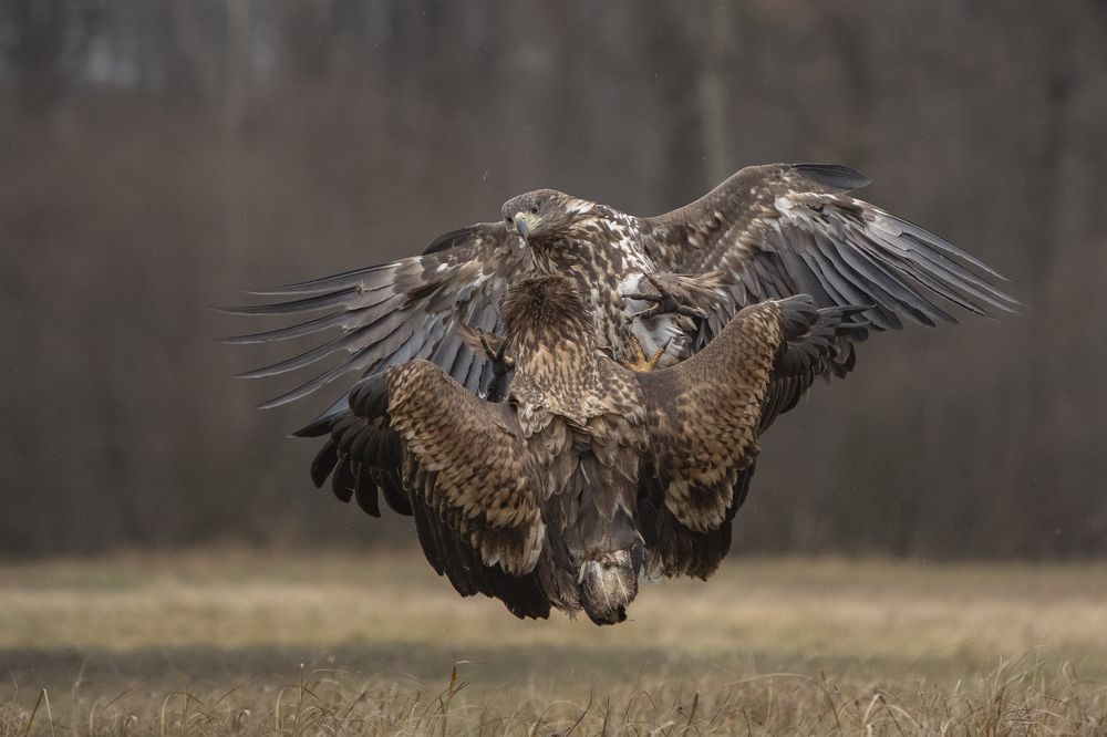 Photograph by Ernestas Balcikonis