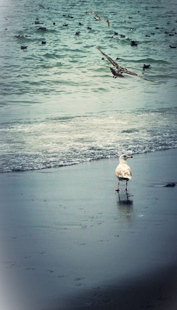 Photograph by Елена