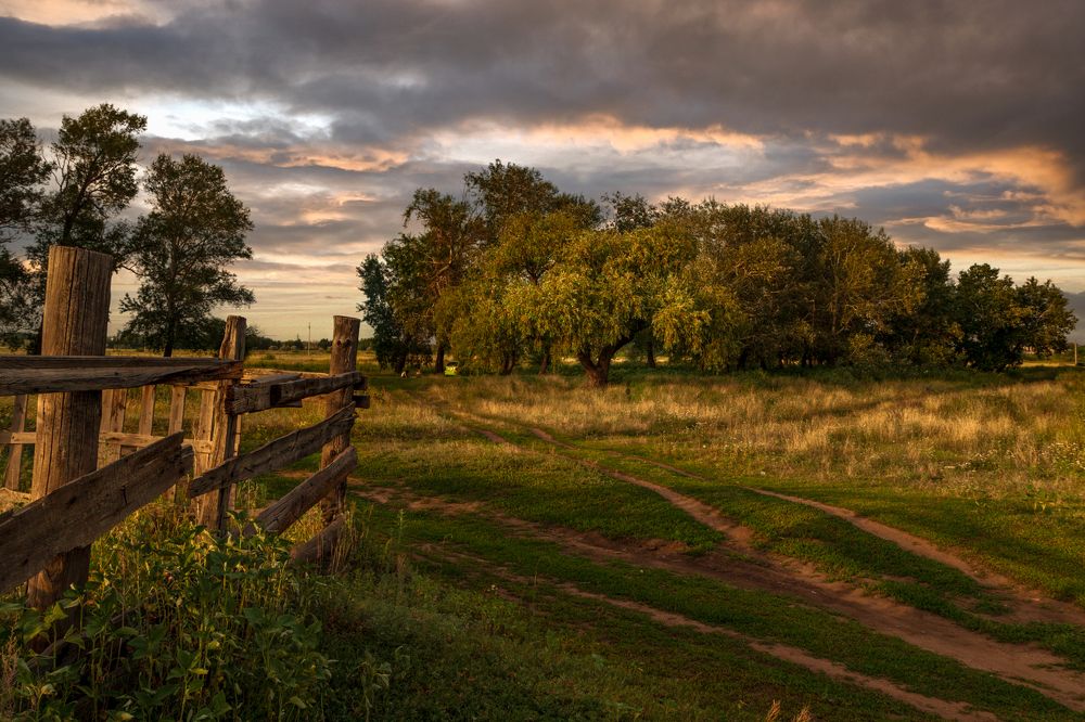 Photograph by Марат Кучкаев