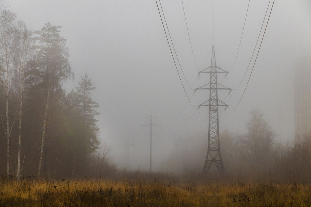 Photograph by Дмитрий Тимин