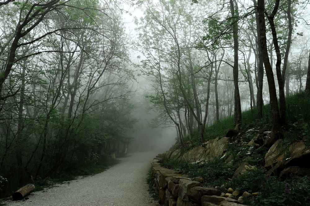 Photograph by Екатерина Чернышова