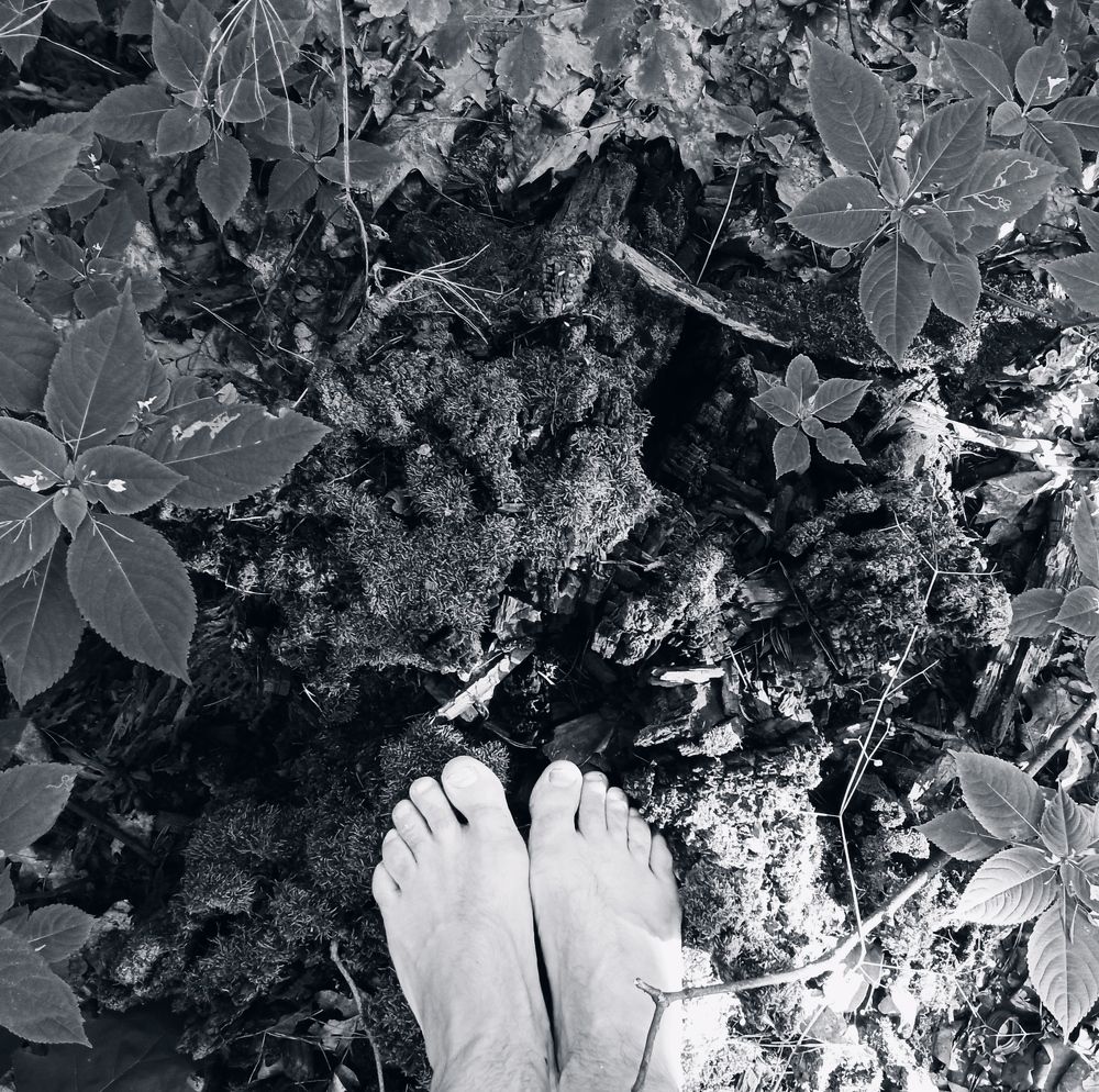 Photograph by Евгений