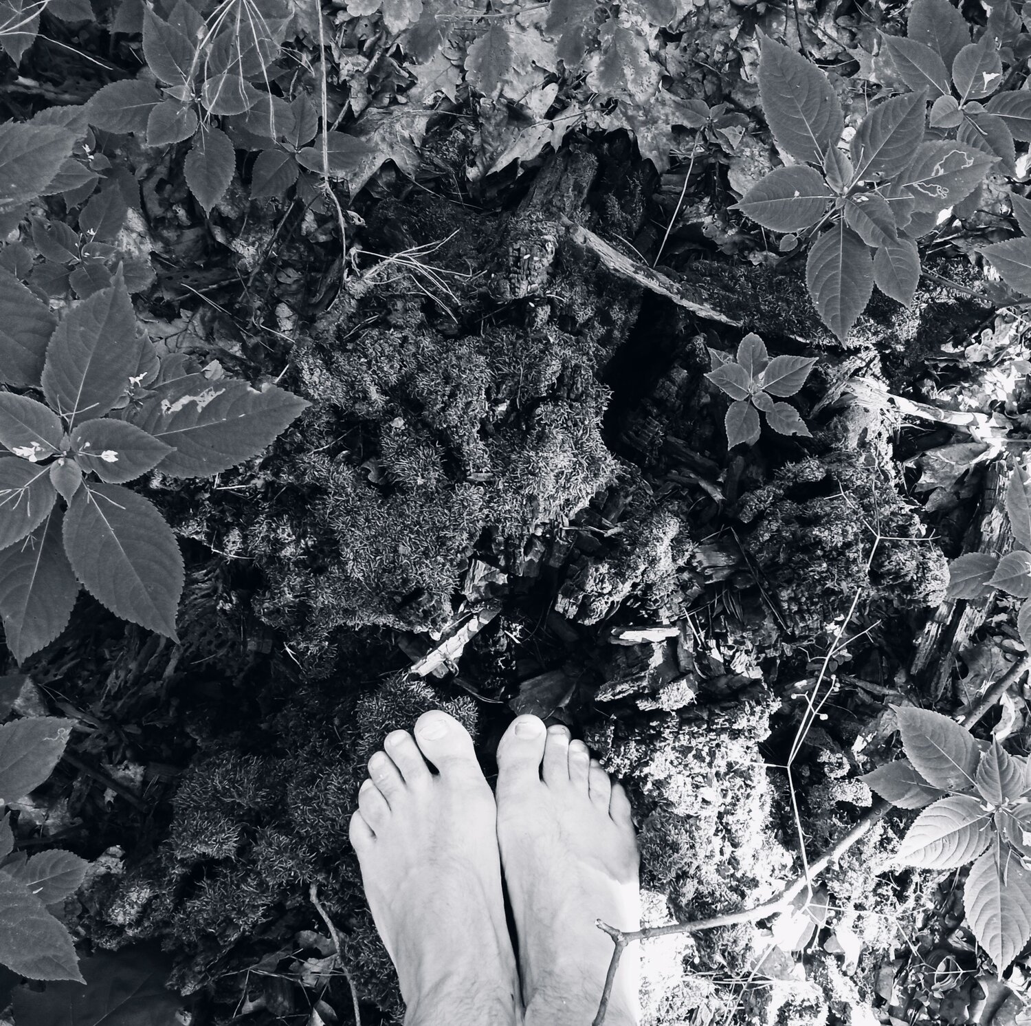 Photo #6795920