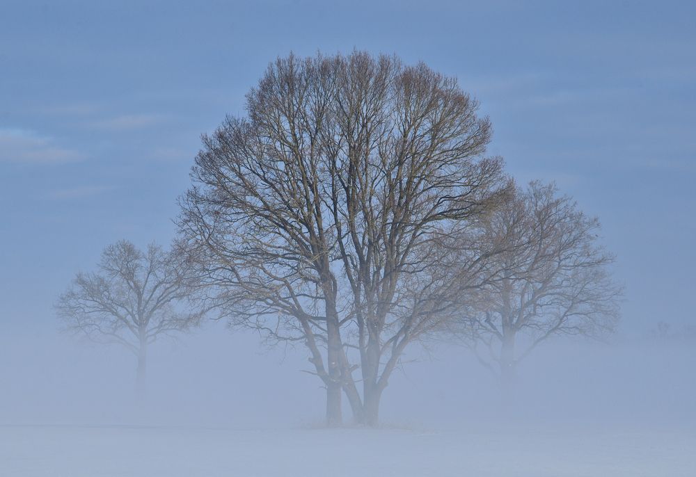 Фотография автора Никита Русецкий