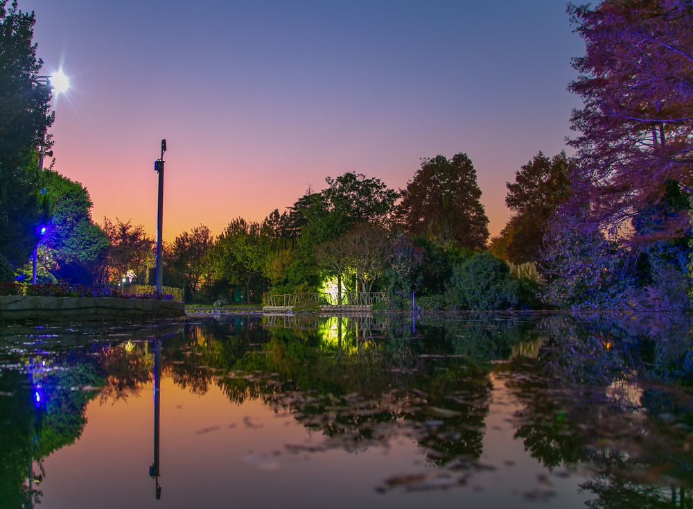 Photograph by Mohammadreza Majlesifar