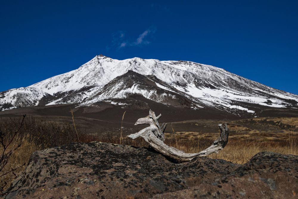 Козлик у Козельского вулкана