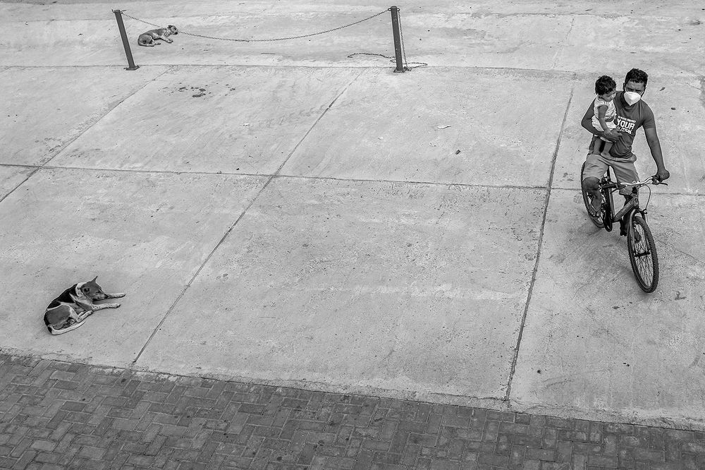 Фотография автора Laddu Sasindu Pramuditha De Silva