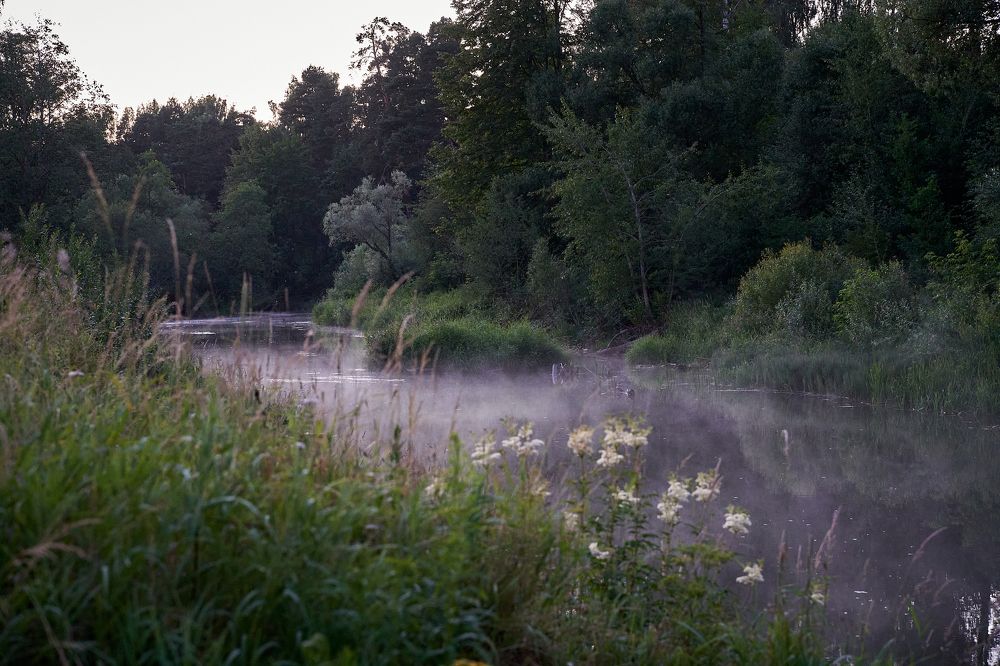 Фотография автора Александр Османов