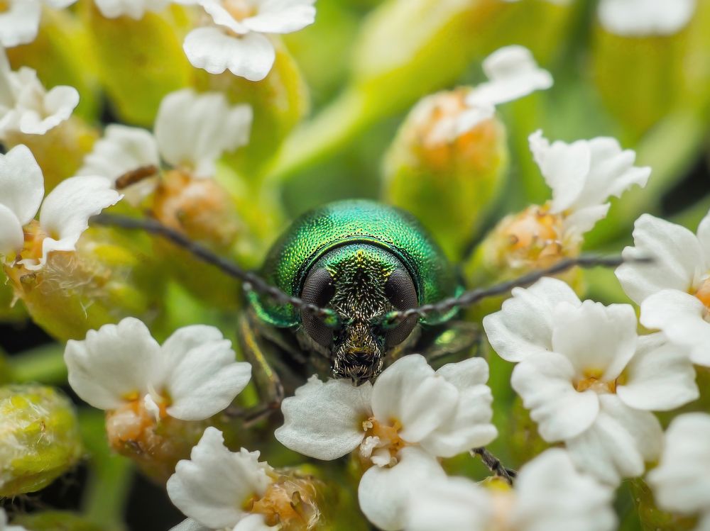 Photograph by Степан Соловьёв