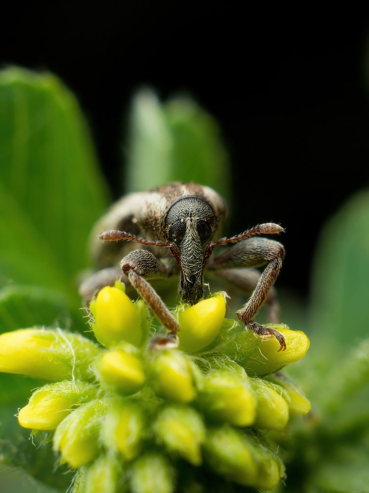 Photograph by Степан Соловьёв