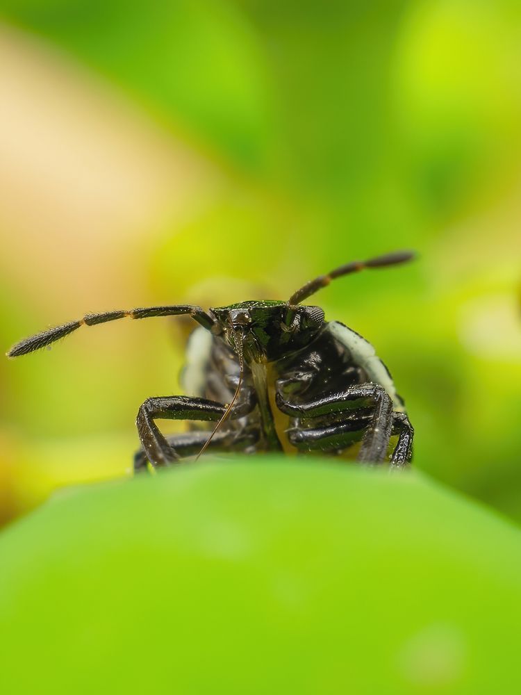 Photograph by Степан Соловьёв