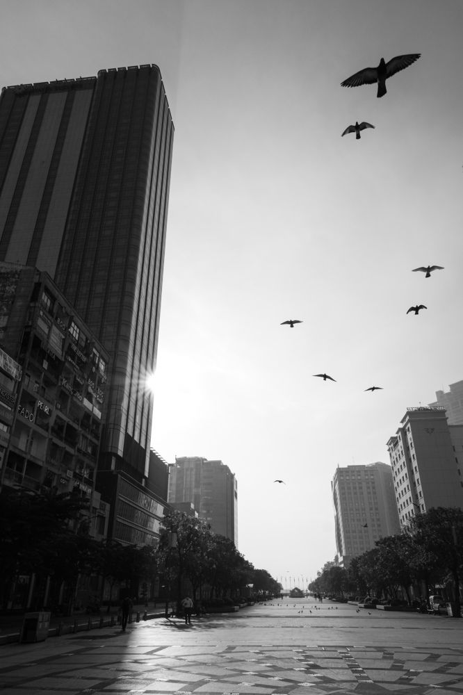 Фотография автора Nguyen Nguyen .N