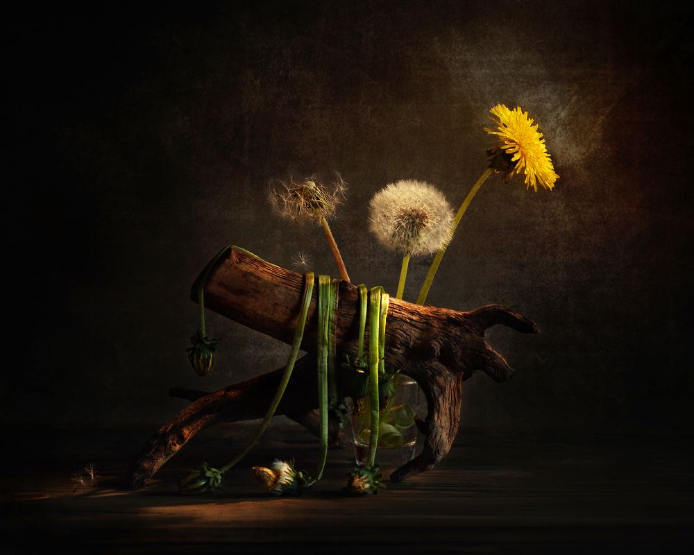 Photograph by Вадим Морозов