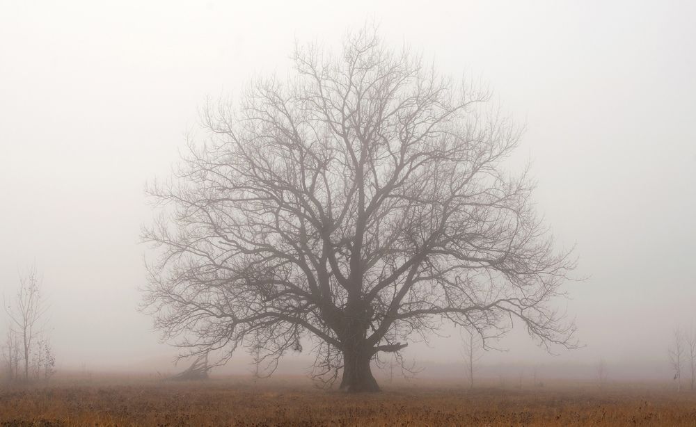 Photograph by Виталий Слёзка