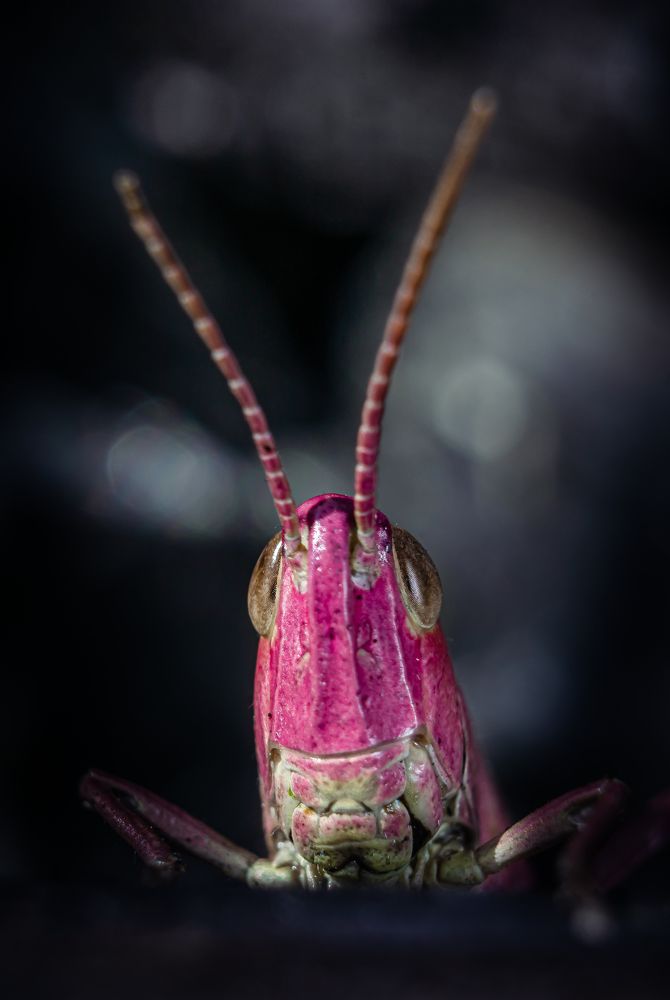 Photograph by Patryk George