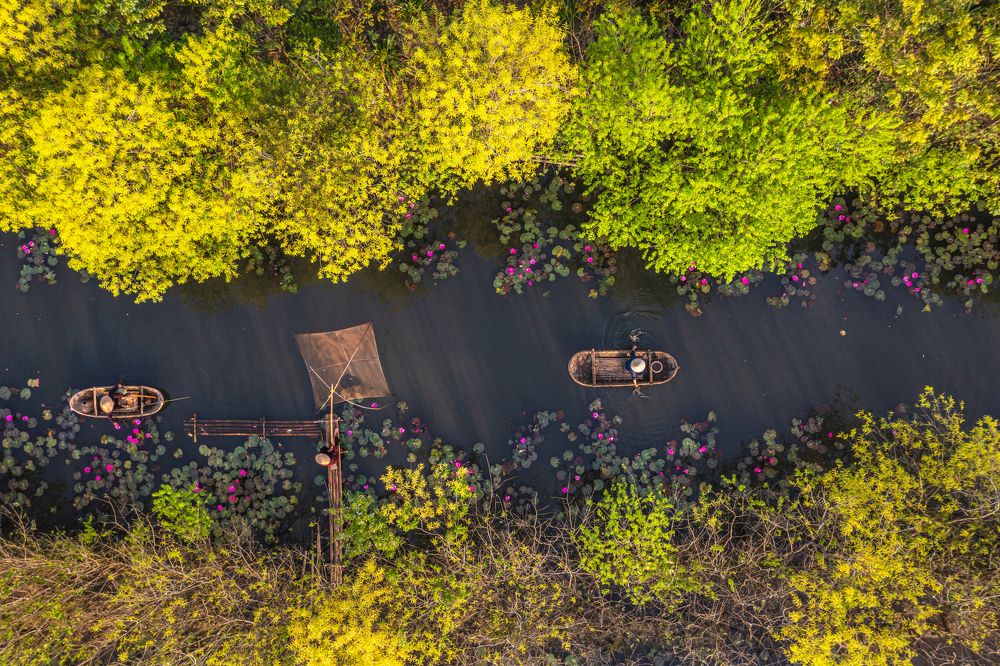 Photograph by TRAN QUY