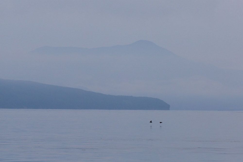 Photograph by Антон Арефьев