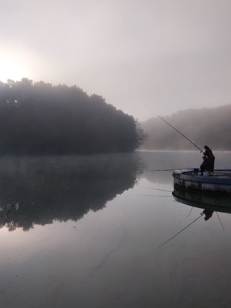 Photo #6796360