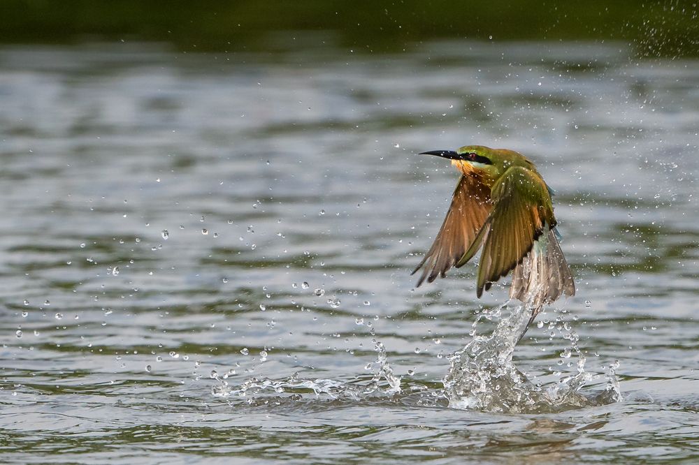 Photograph by Gimantha Perera