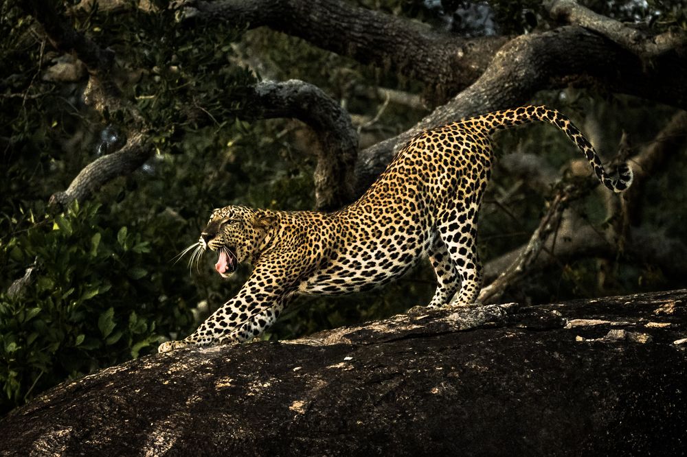 Photograph by Gimantha Perera