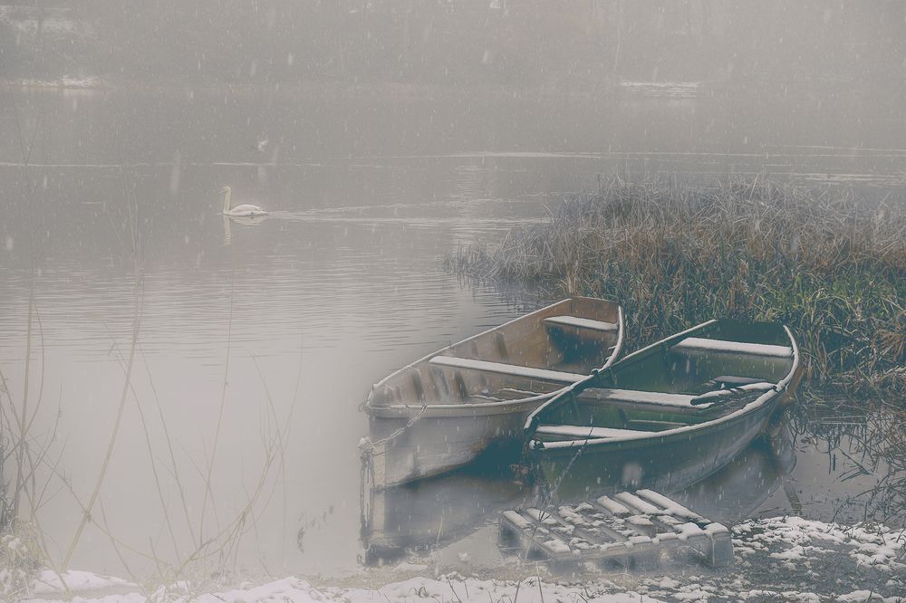 Lebedinoje sciastje.