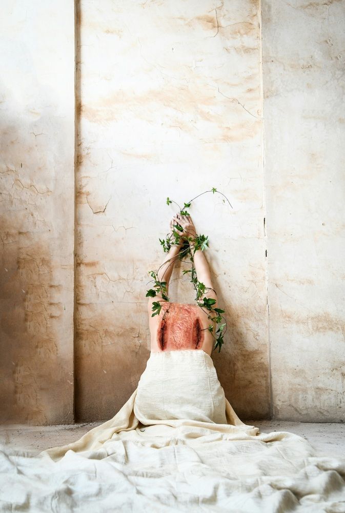 Фотография автора Z Fatemi