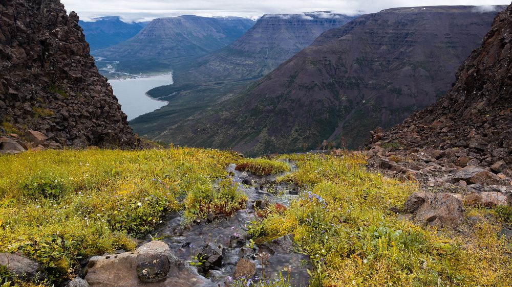 Photograph by Сергей Андреев